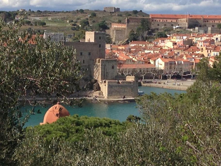 Pieds Dans L'Eau A Collioure Apartment Bagian luar foto